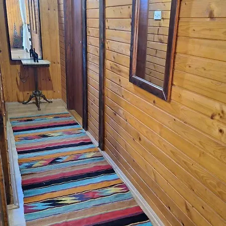 Wooden House Ada * Belgrade