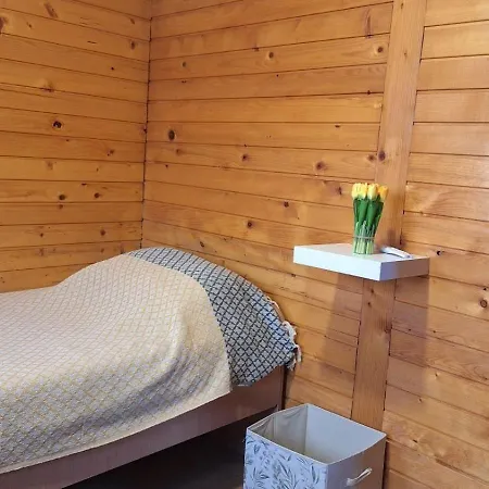 Wooden House Ada Belgrad