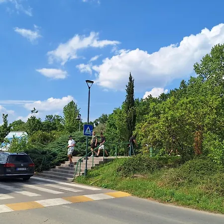 Wooden House Ada بلغراد