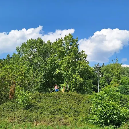 Wooden House Ada Semesterbostad Belgrad